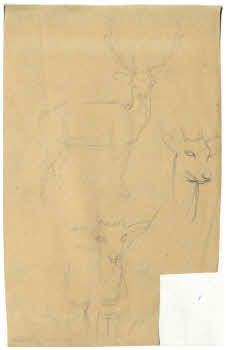 Visualizza l'immagine "FD D 162"